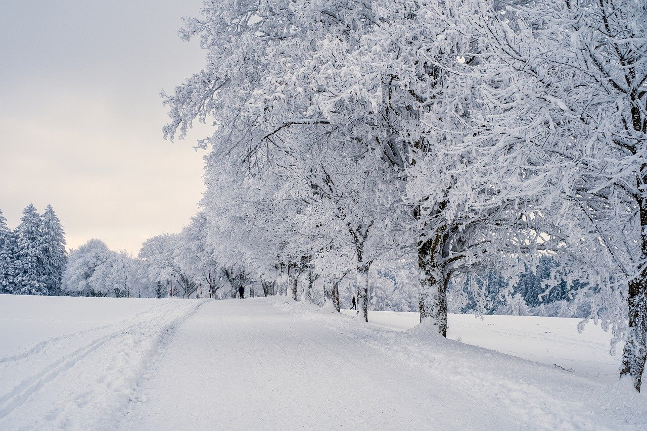 It’s Winter! Hooray (Said With No Enthusiasm Whatsoever)