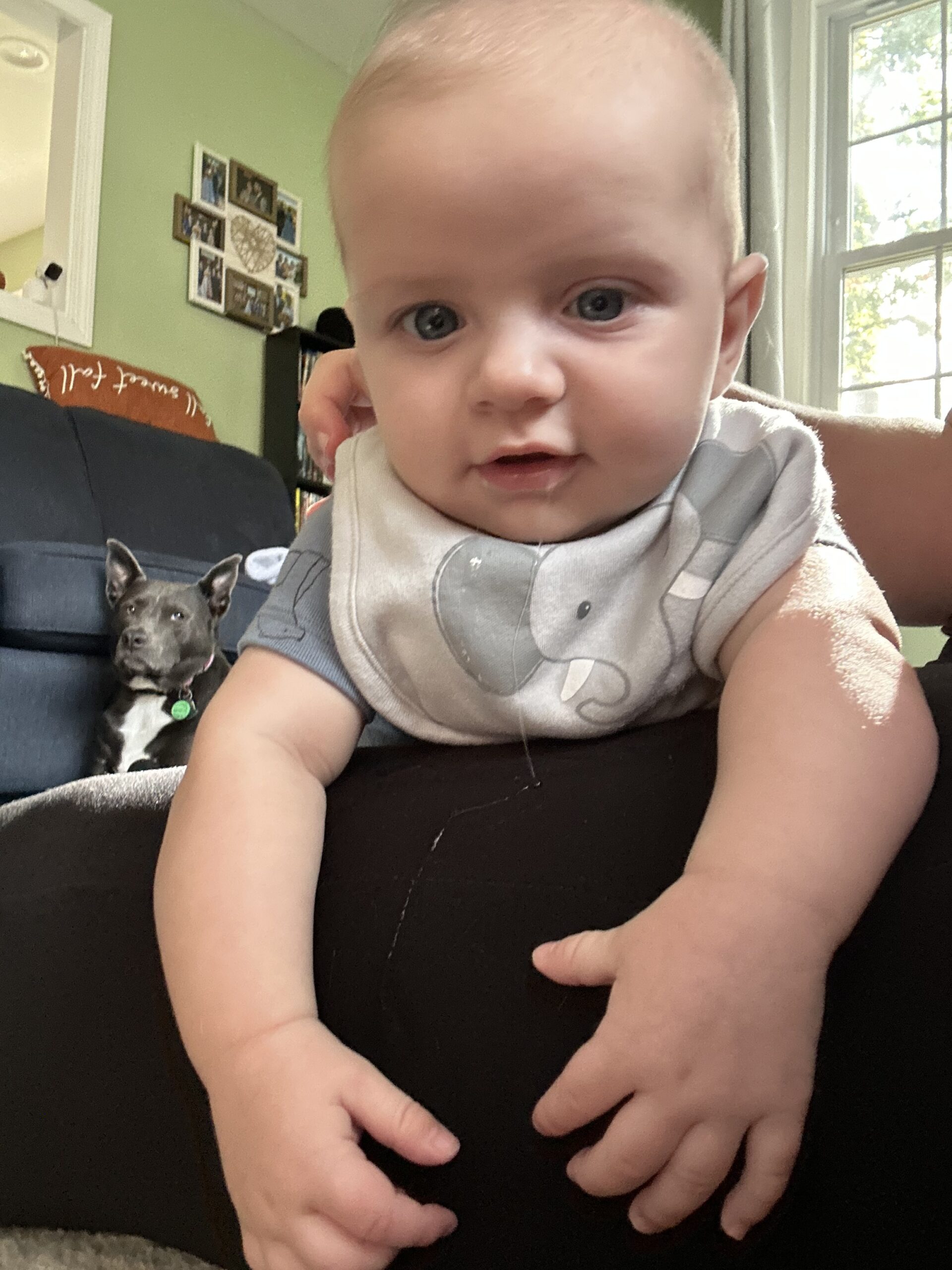 Raising Grampy – Getting Ready For Thanksgiving