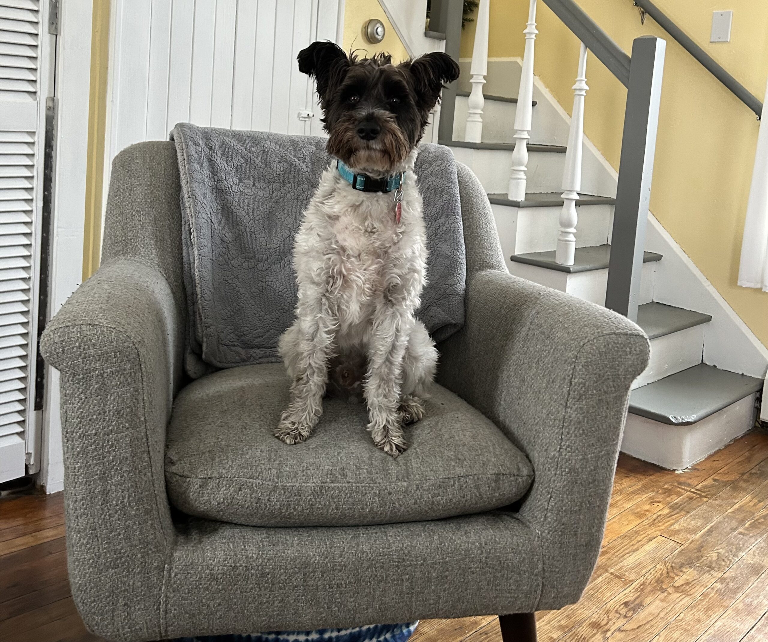 Do We Take Time To Celebrate?